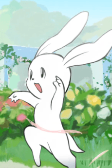 Cover of Prima Rabbit